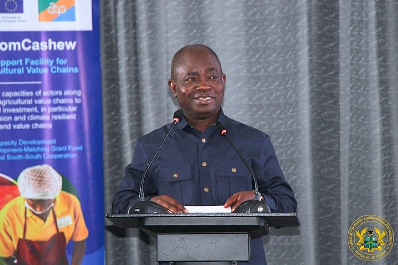 Deputy Trade Minister calls for industrial utilisation of cashew apple to drive agro-processing growth