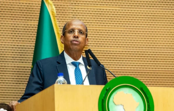 AU expresses solidarity with Chad following deadly Boko Haram attack