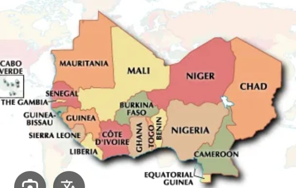 The Politics of Opposition in West Africa: Between the Ballot Box and the Prison Cell