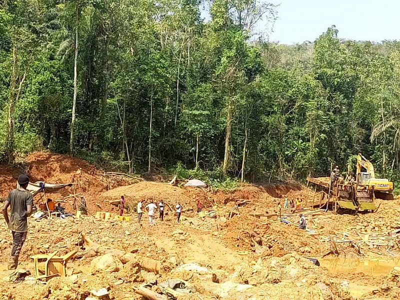 Revoke mining licenses granted to irresponsible companies in forest ...