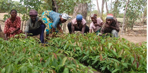 A Nation on the Brink: Peasant Farmers Warn of Impending Poo...