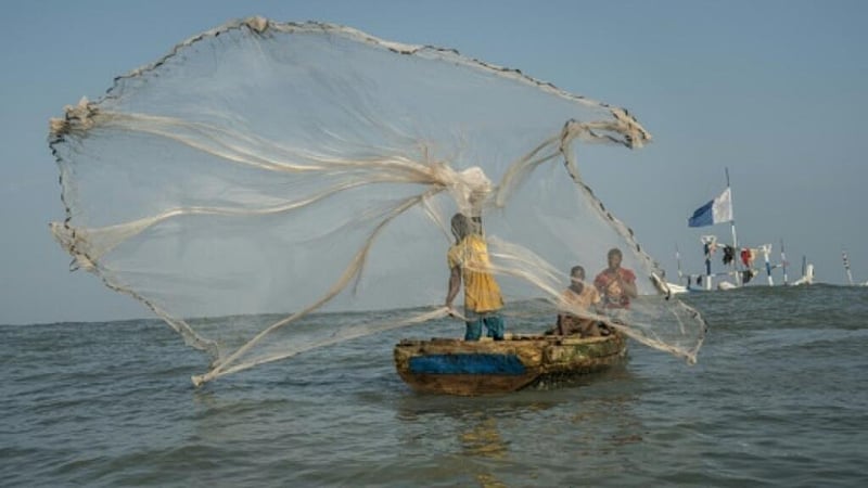 France among 15 countries to pledge to target illegal fishing with shared data