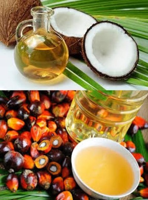 Palm kernel oil - Wikipedia