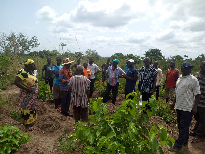 GEPA Train Yam Farmers To Boost Production For Export