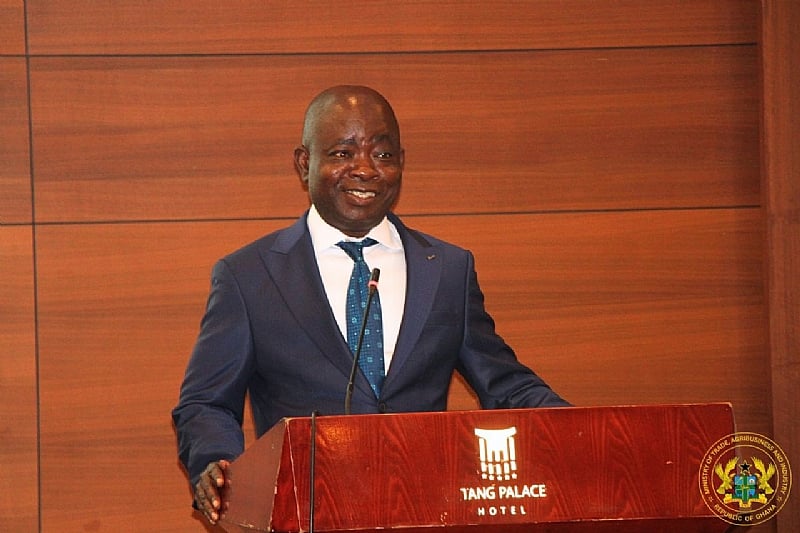 Trade mission success depends on investment agreements and export deals — Deputy Trade Minister