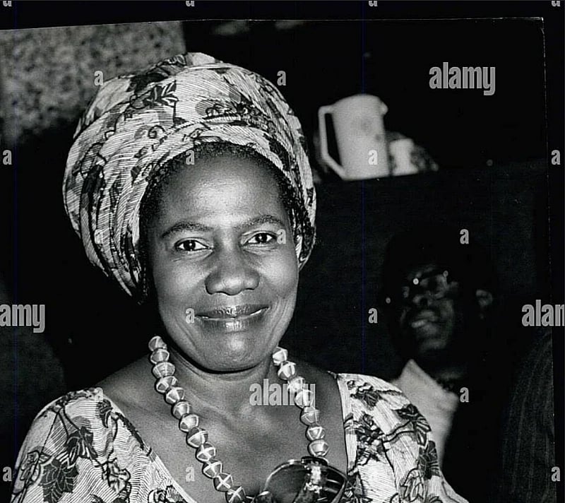 The Paradox of Progress: What the West Misunderstood About African Women