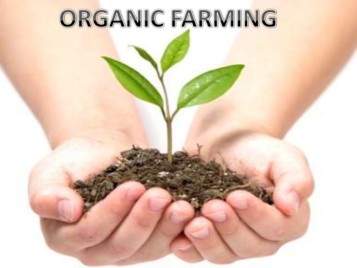 sustainable-agriculture-introduction-to-organic-farming