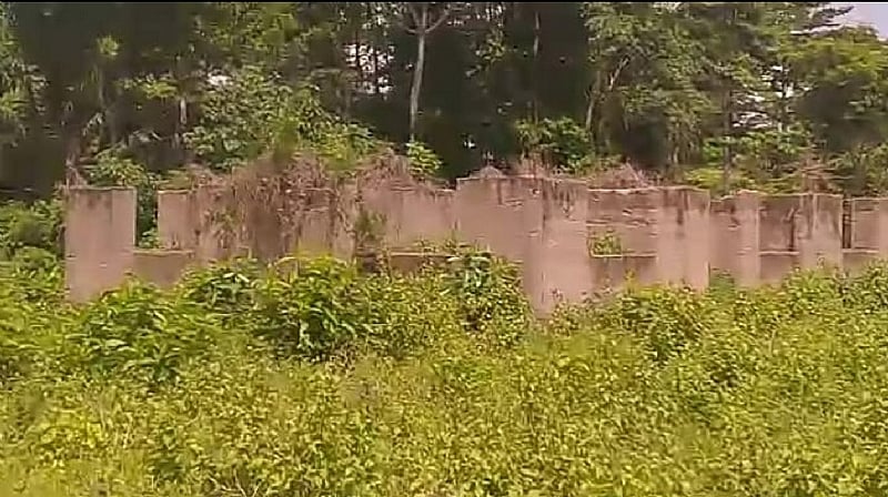 Criminals terrorize residents as weeds takeover abandoned Kwadwo ...