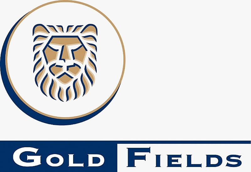 Delay in Gold Fields Lease Renewal Scaring Investors — CEMSE Boss Warns Government