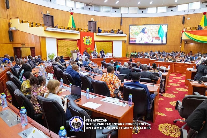 RHION condemns African Rights Charter proposal
