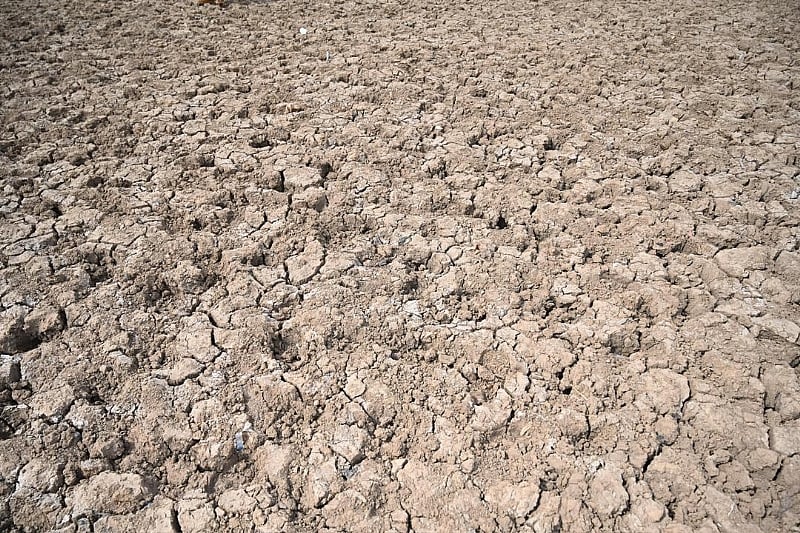 Women at the Frontline of Climate Change