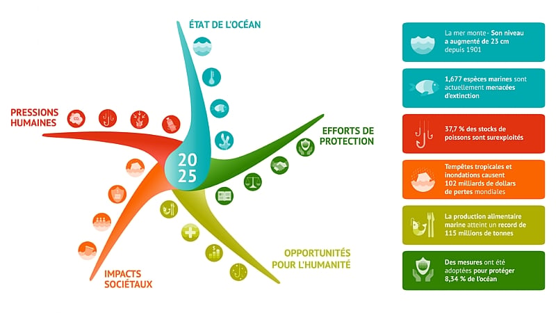 Scientists launch Ocean health barometer Starfish at UN summit