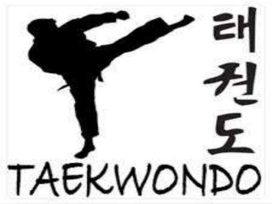 taekwondo stick figure