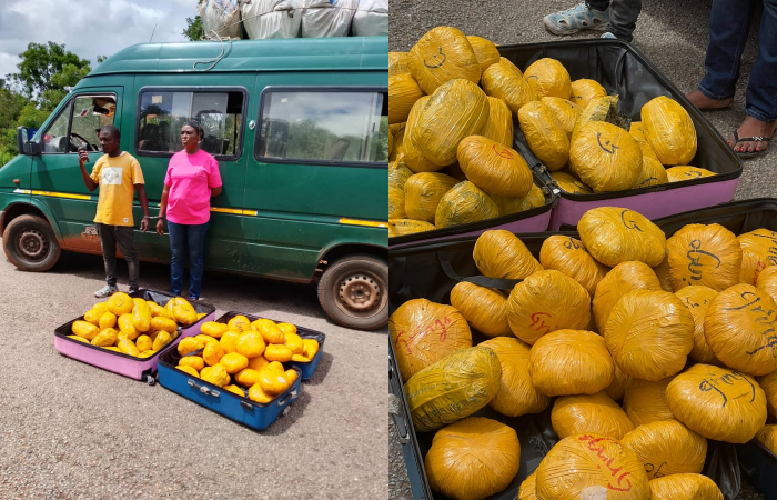 Police arrest two with 73 parcels of suspected cannabis, reject GH¢300,000 b