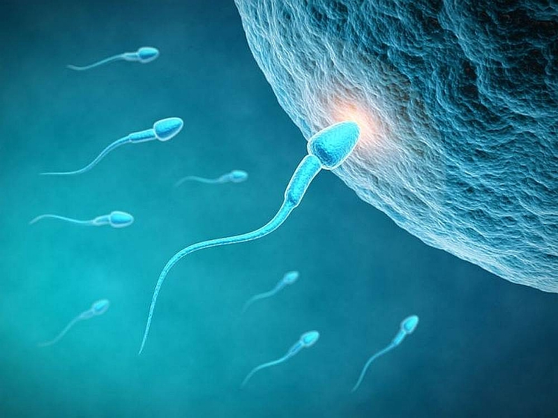 Semen Swallowing improves women’s mood and boosts pregnancy health.