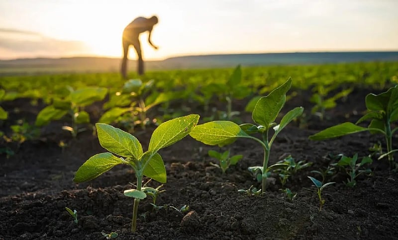 Farming that Heals the Land–Climate Advocate Makes Strong Ca...