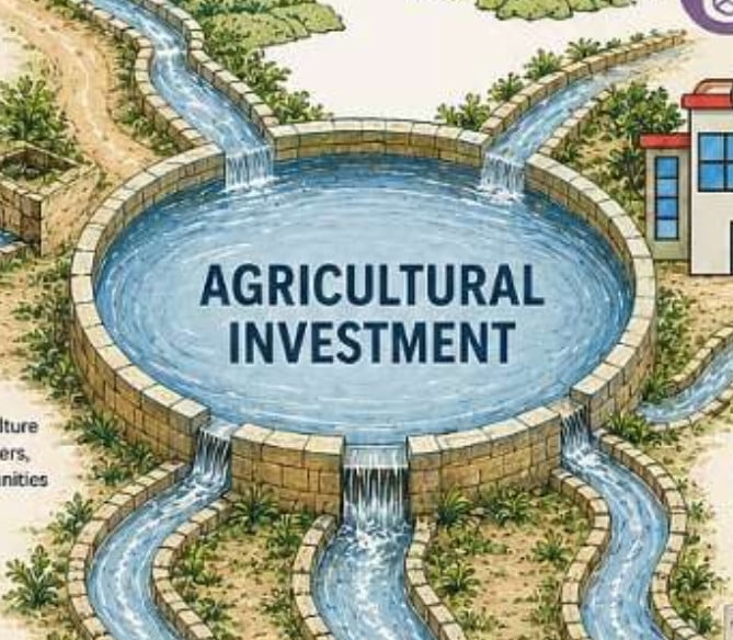 The Invisible Infrastructure of Rural Morocco: Why Investing in Agriculture is Investing in Public Health