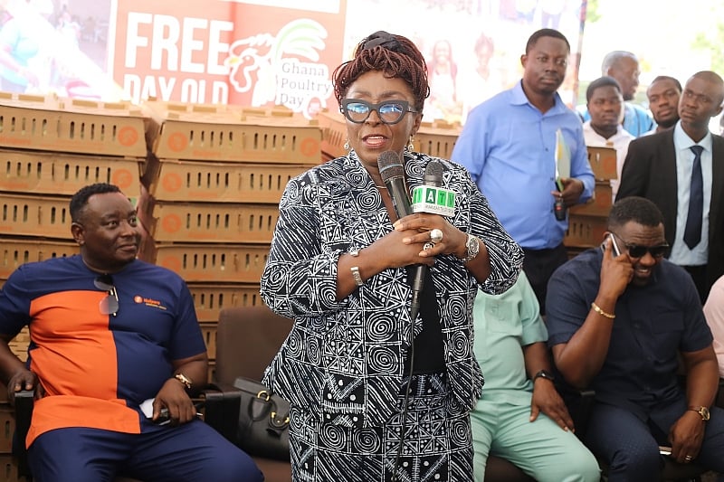 Ghana’s poultry sector can thrive with local investment - To...