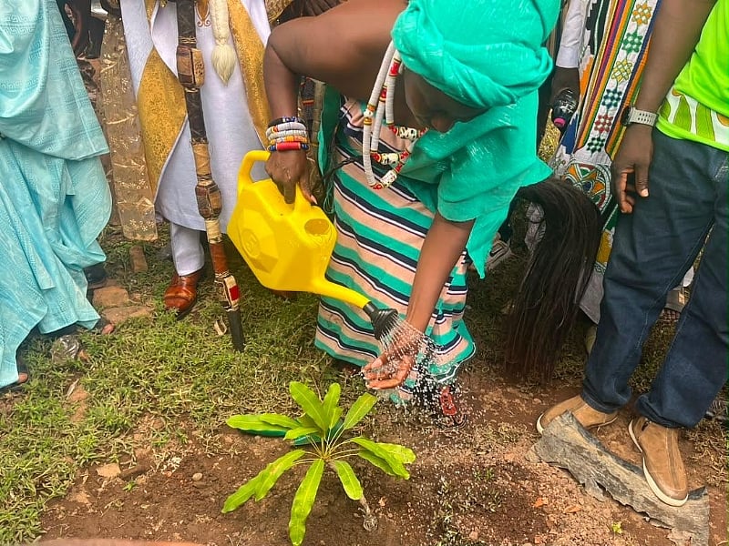 GSA Marks Shea Day with Strong Call to Restore Africa’s Shea Parklands