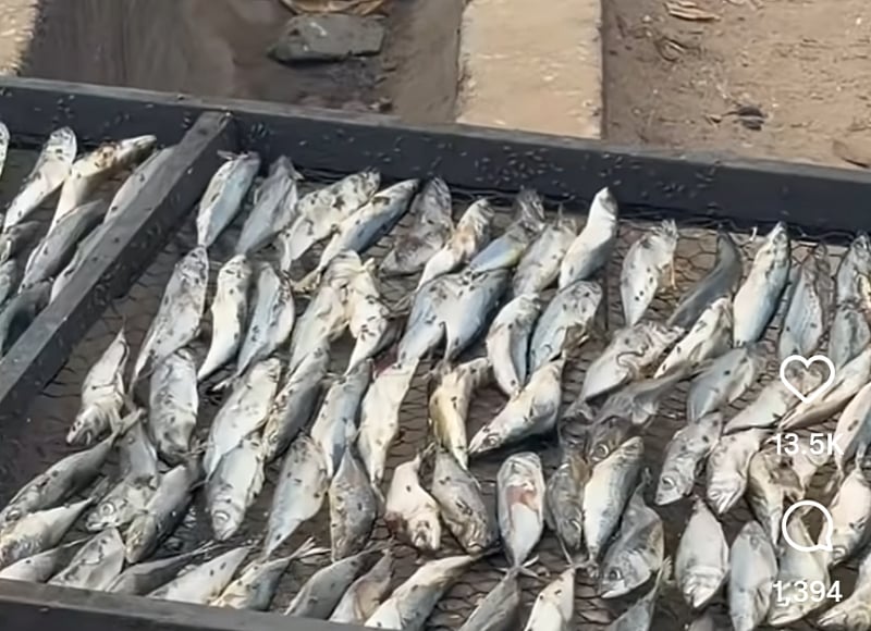 FDA confiscates fish processed under unhygienic conditions after viral video