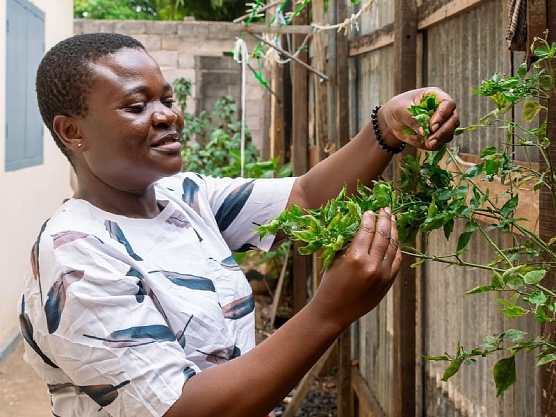 The Women Who Left Algeria with Purpose in Their Hands