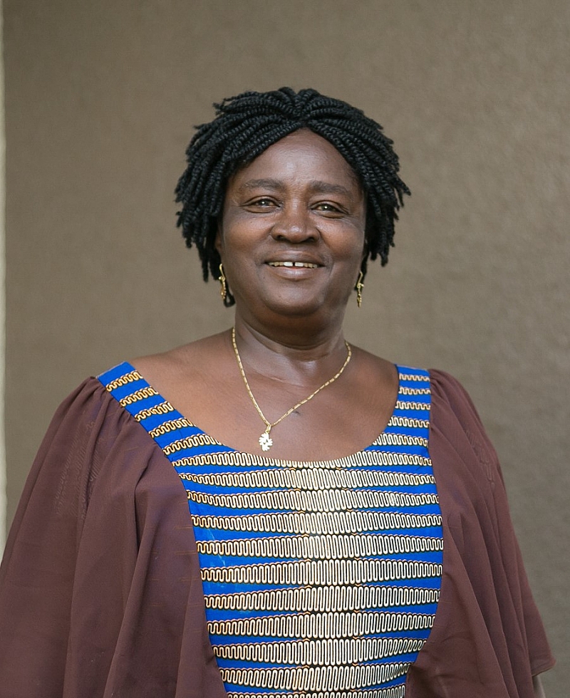 Prof. Jane Naana Opoku Agyemang Is A Colossal Figure — Prof. John Gatsi ...