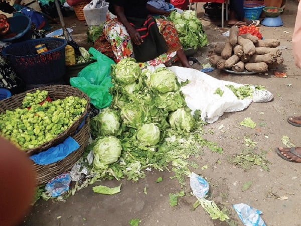 100% of cabbage samples from Agbogbloshie, Madina Markets fail safety test —