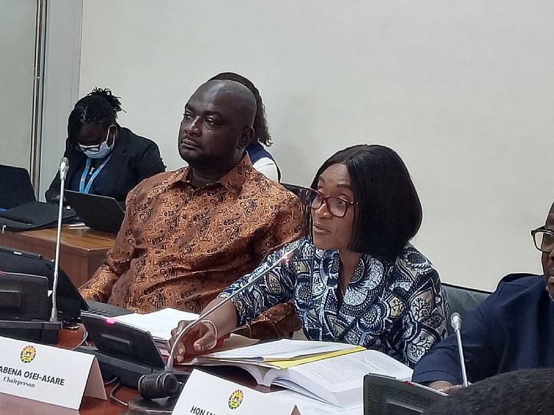 PAC grills Ministry of Foreign Affairs over financial irregu...