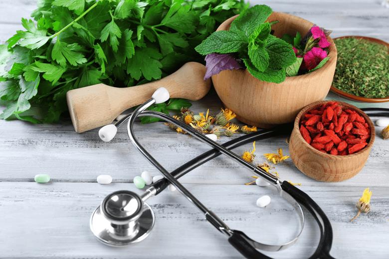 Naturopathy and Holistic Medicine Practice Regulation: The Case Study ...