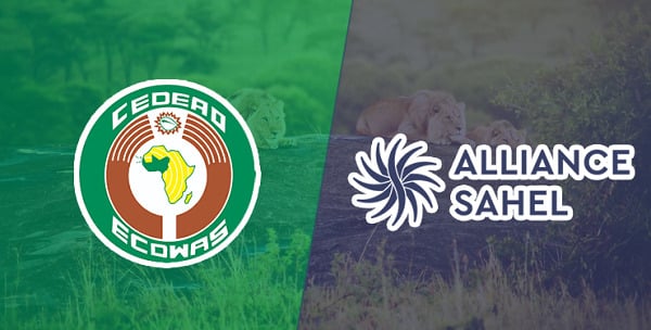 A Borderless Insurgency, a Divided Response: The ECOWAS–AES Security Dilemma