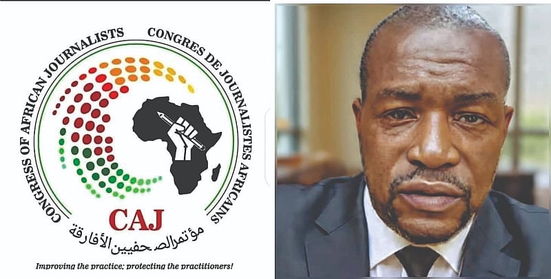 Africa Must Own Its Narrative - CAJ President