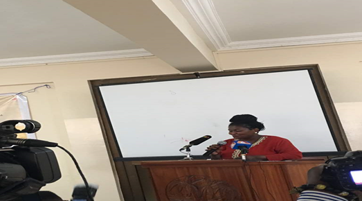 Use ICC As A Default Court As You Would Use A Back-Up Generator - Evelyn Ankumah