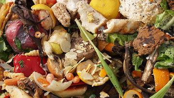 A Method for Making Food Waste Organic Fertilizer