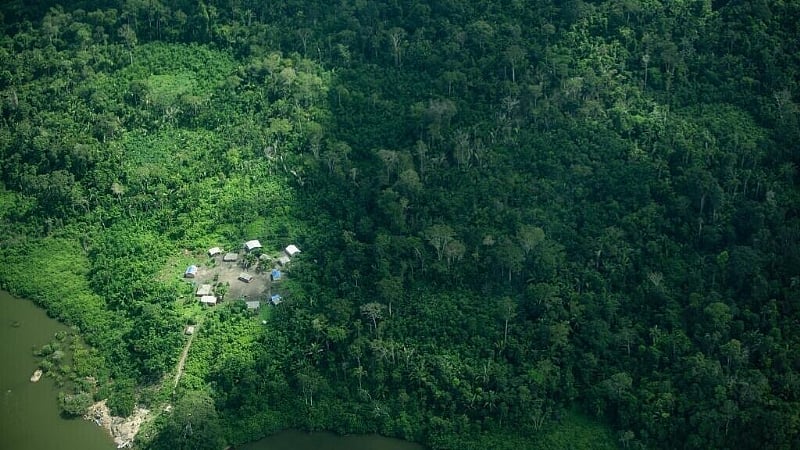EU postpones anti-deforestation rules as bloc signs trade deal with Indonesia