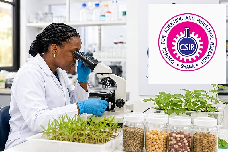 CSIR moves to turn scientific research into jobs and nationa...
