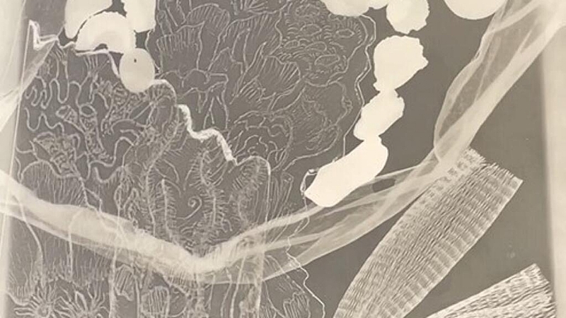 Young artist from Martinique sheds light on the plight of coral reefs