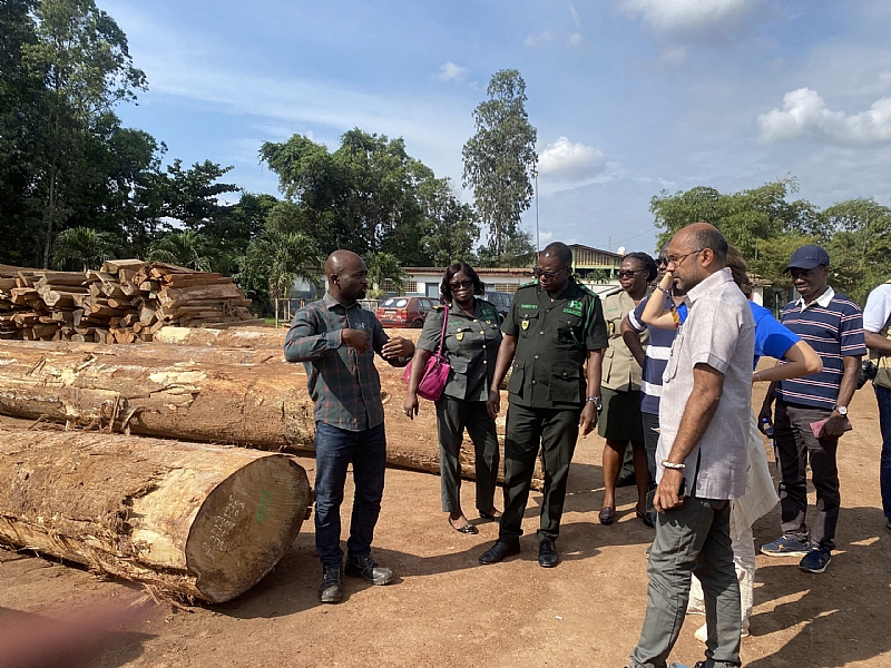 EU commends Ghana for combatting illegal timber logging