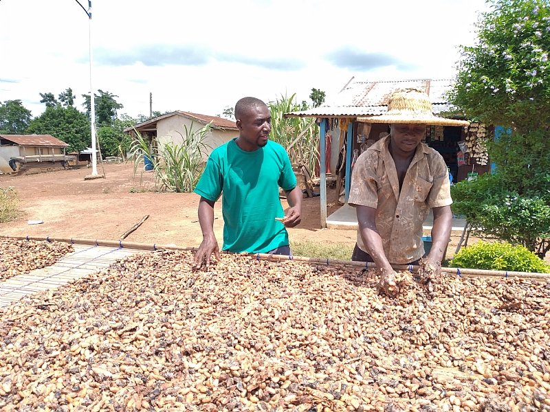 Sustainability Initiatives In The Cocoa Industry