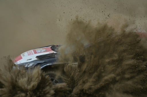 Ogier Takes Safari Rally Lead As Tanak Halted By Zebras Crossing