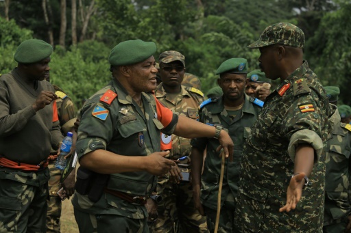 DR Congo rebels moving inland after joint border crackdown