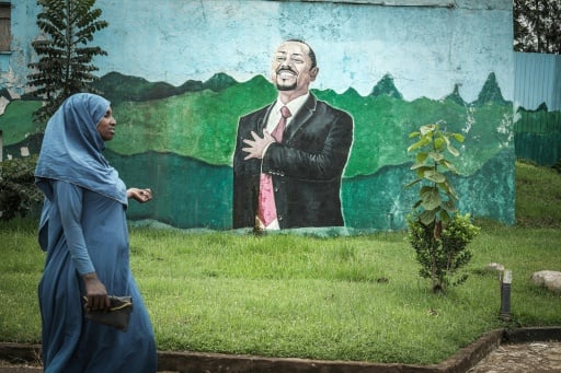Ethiopian PM's party secures win in national election