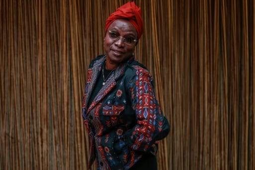 Singer Angelique Kidjo urges Africans to 'create together'