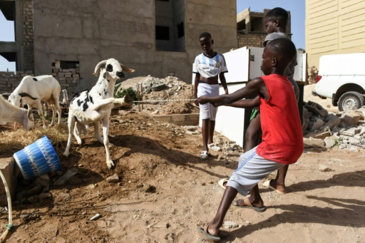 Religious feast highlights interfaith unity in Senegal