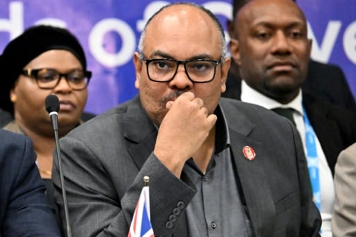 Tanzania protests 'not legal', says ex-FM as hundreds feared dead