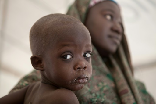 Aid Donors Pledge 672 Mn To Prevent Lake Chad Famine