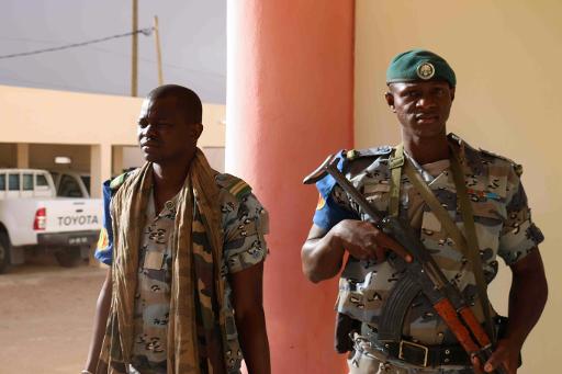 Rebels kill two soldiers in Mali: government