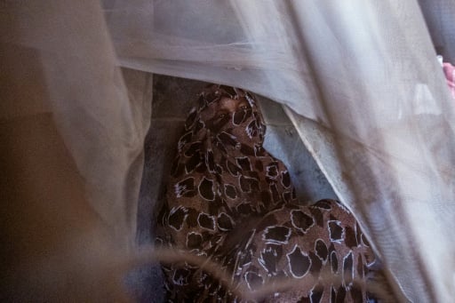 'Blood oozing from corpses' haunts escapees from Sudan's El-Fasher