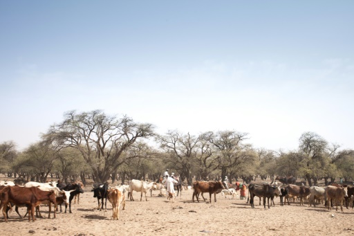 Chad crackdown risks worsening tensions after ethnic violence