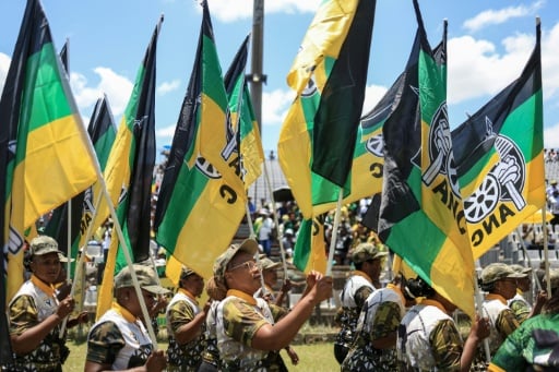 South Africa's ANC launches 'most pressing' reform drive