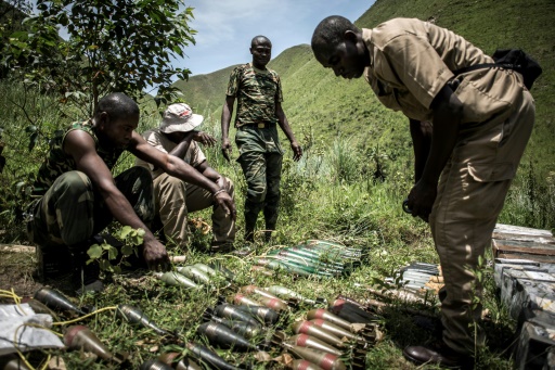 Drc Army Claims Fresh Win Against Hutu Rwandan Militia 